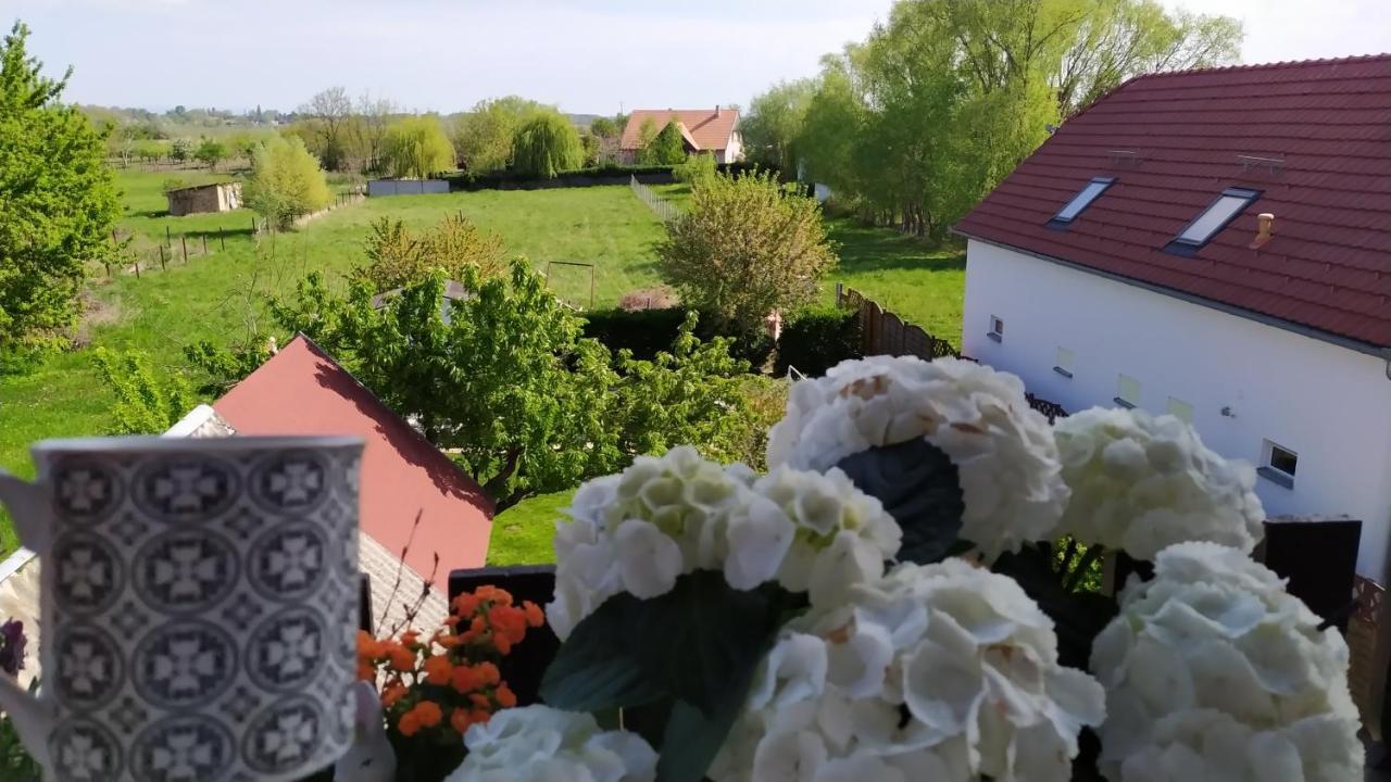 Leander Apartman Balatonlelle Esterno foto